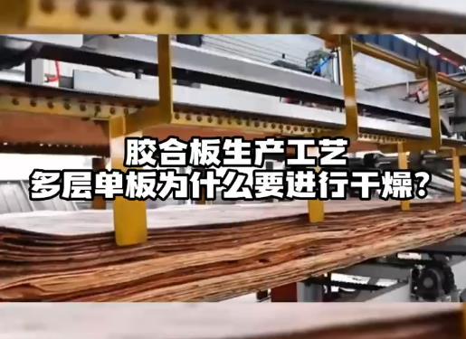 膠合板生產(chǎn)工藝多層單板為什么要進(jìn)行干燥？